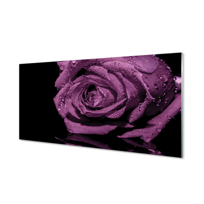 Acrylic print Pink purple