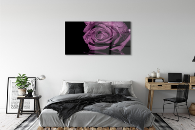 Acrylic print Pink purple