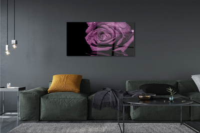 Acrylic print Pink purple