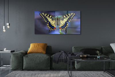 Acrylic print Butterfly on flower