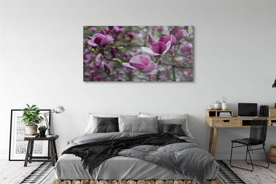 Acrylic print Purple magnolia