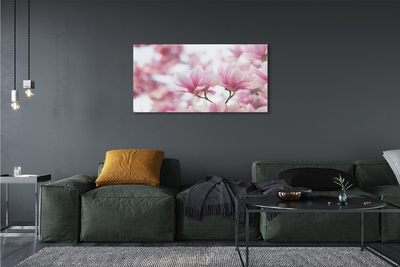 Acrylic print Magnolia