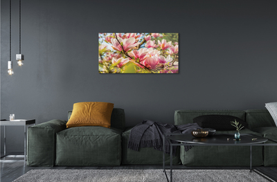 Acrylic print Pink magnolias