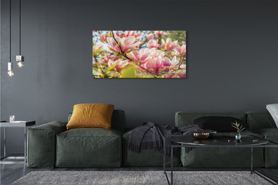 Acrylic print Pink magnolias