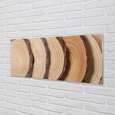 Acrylic print Slices of wood grain