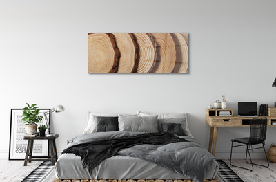 Acrylic print Slices of wood grain
