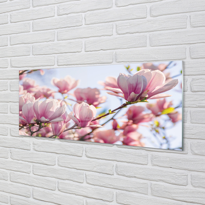 Acrylic print Magnolia