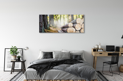 Acrylic print Natural forest wood