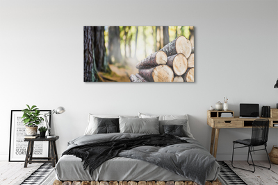 Acrylic print Natural forest wood