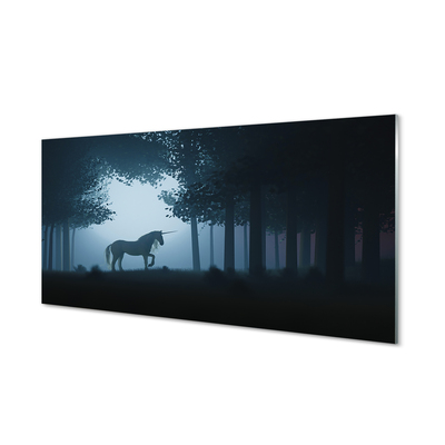 Acrylic print Las unicorn night