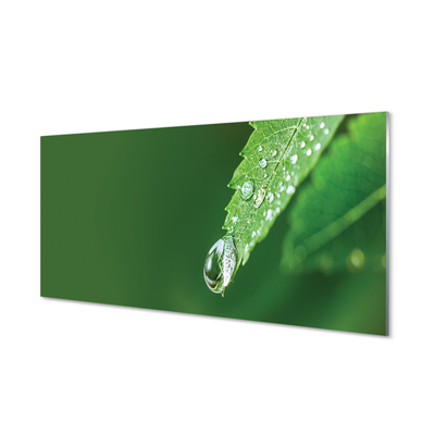 Acrylic print Water drop leaf