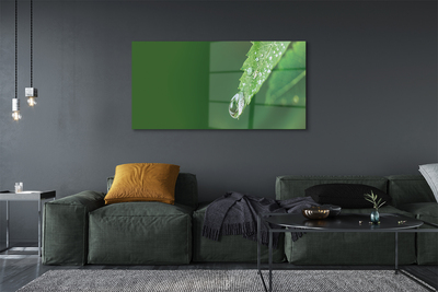 Acrylic print Water drop leaf