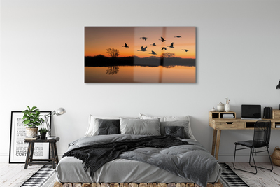 Acrylic print Sunset flying birds