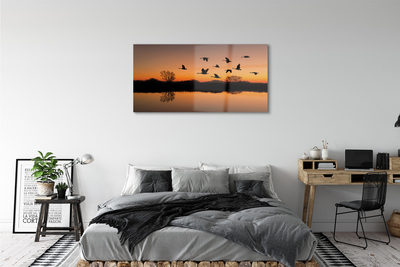 Acrylic print Sunset flying birds