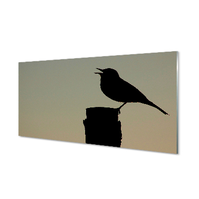 Acrylic print Black bird