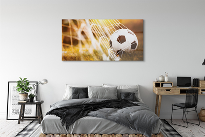 Acrylic print The yellow ball grass background