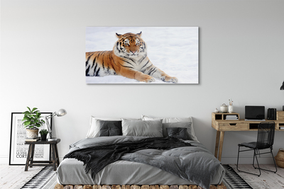 Acrylic print Tiger winter