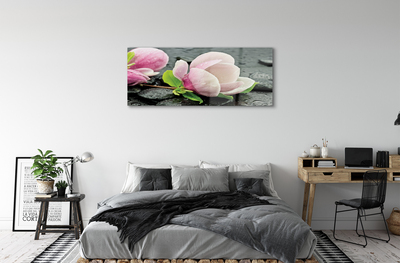 Acrylic print Magnolia stones