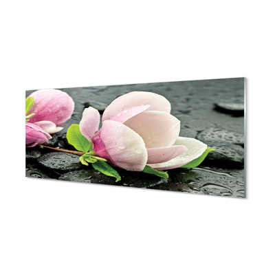 Acrylic print Magnolia stones