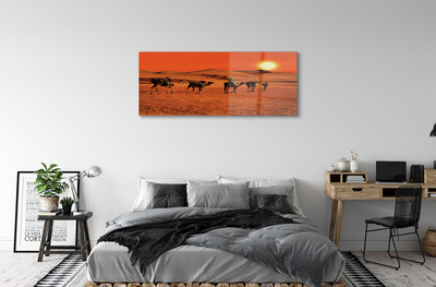 Acrylic print Camels sky sun desert people