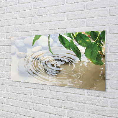 Acrylic print Splash drops