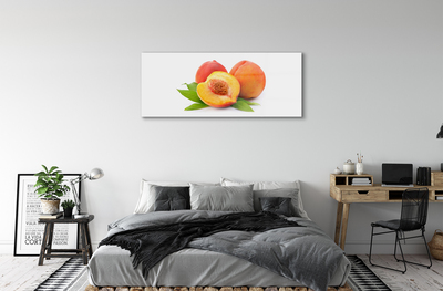 Acrylic print Apricot