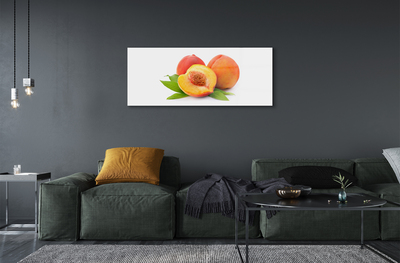 Acrylic print Apricot