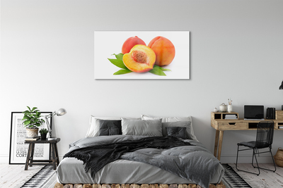 Acrylic print Apricot