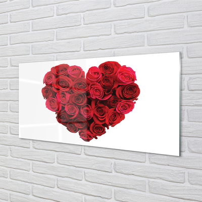 Acrylic print Heart of roses