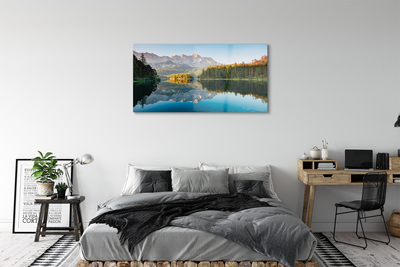 Acrylic print Lake forest germany mountain