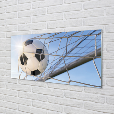 Acrylic print The ball sky net