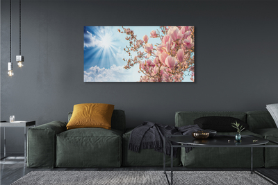 Acrylic print Sky sun magnolia