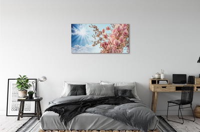 Acrylic print Sky sun magnolia