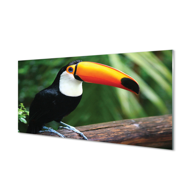 Acrylic print Toucan on a branch