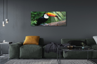 Acrylic print Toucan on a branch