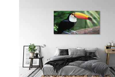 Acrylic print Toucan on a branch