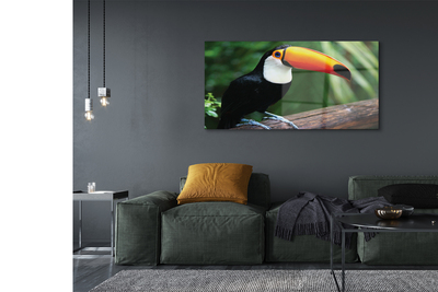 Acrylic print Toucan on a branch