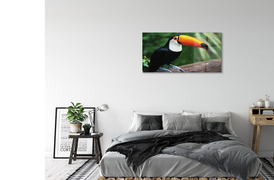 Acrylic print Toucan on a branch