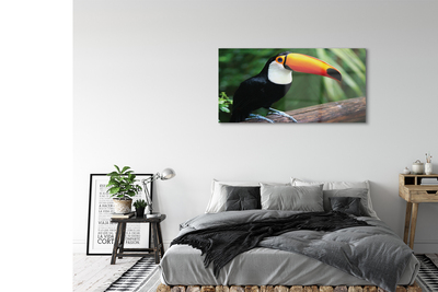 Acrylic print Toucan on a branch