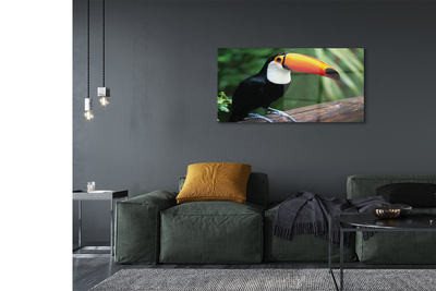 Acrylic print Toucan on a branch