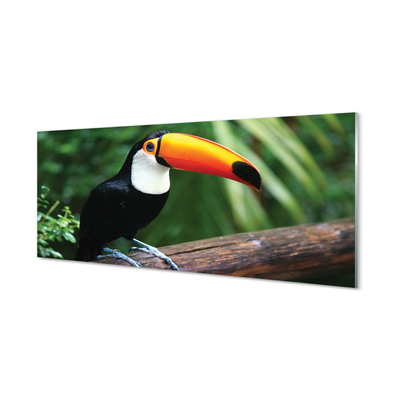 Acrylic print Toucan on a branch