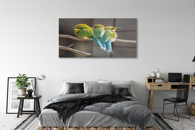 Acrylic print Birds on a branch