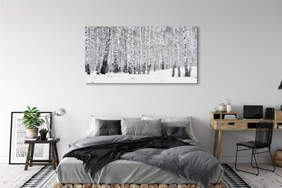 Acrylic print Winter birch