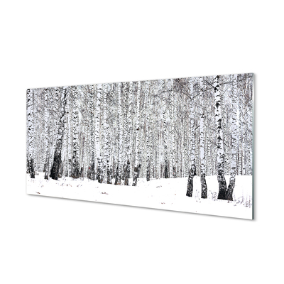 Acrylic print Winter birch