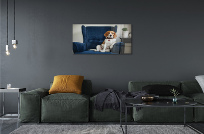 Acrylic print Sit dog
