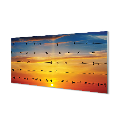 Acrylic print Birds on sunset ropes