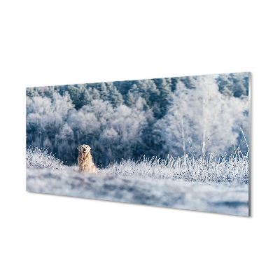 Acrylic print Winter mountain dog