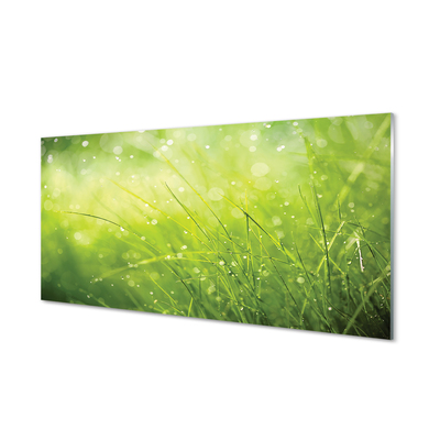 Acrylic print Dewdrops on grass
