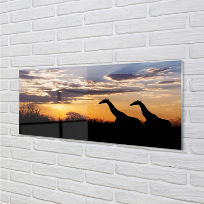 Acrylic print Clouds girafes wave
