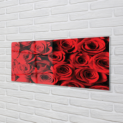 Acrylic print Roses